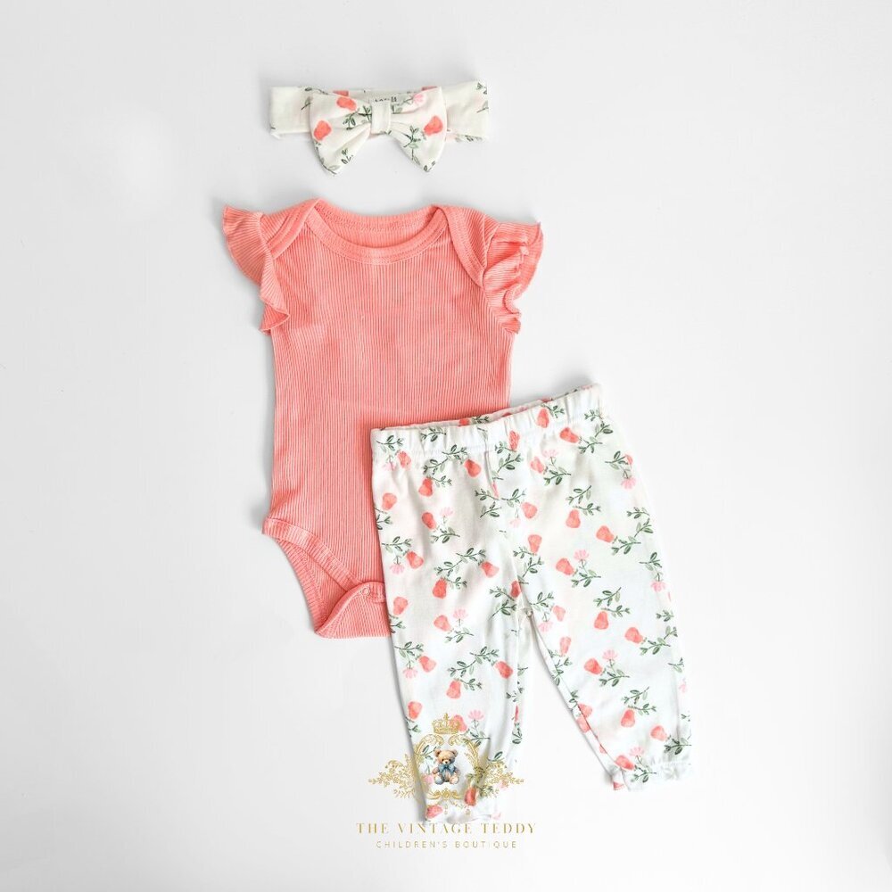NWT Cute Girls 3 Piece Set Baby Onesie Pants Headband Floral Coral & Sage 0-3M